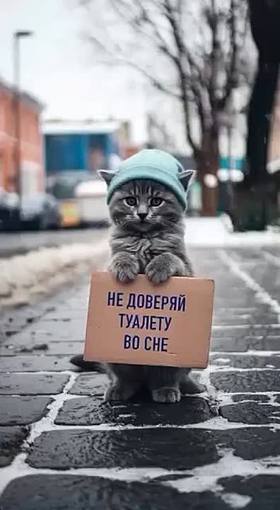 Доброй ночи, Одесса. Мы желаем вам только приятных снов без подвоха, но на всякий случай, внемлите совету котенка на видео До завтра Блокнот Одесса