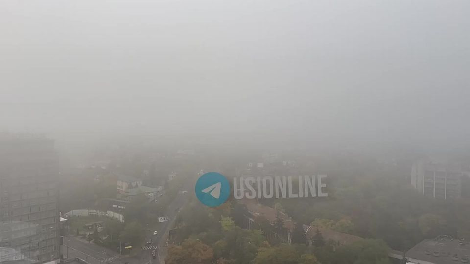 Одессу окутал туман. Как на работу добирались? Не мешал вам?) Блокнот Одесса