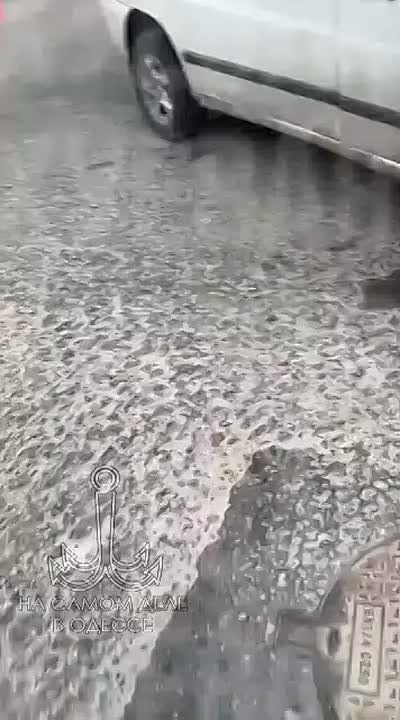 Ранее мы писали об одном «ТЦКашнике»