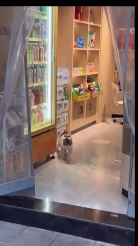 Спокойной ночи, любимая Одесса!