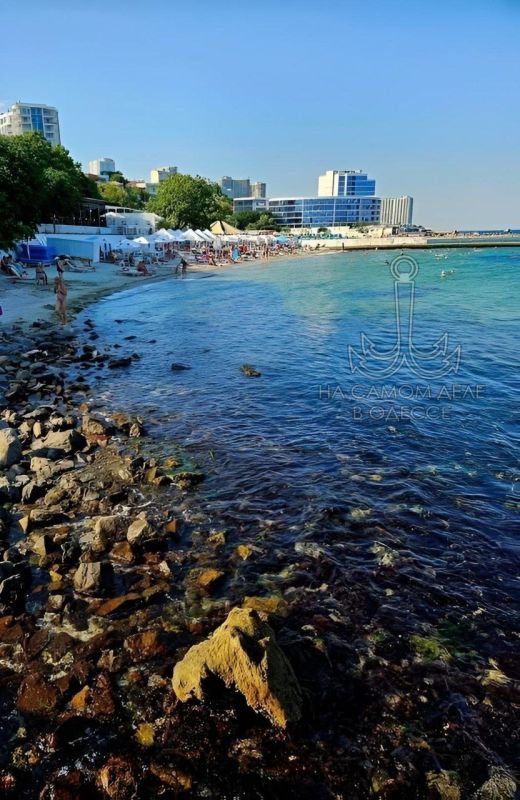 Любит Одессу одессит Семен Вайнблат в стихах: Любит Одессу одессит Семен Вайнблат в стихах: