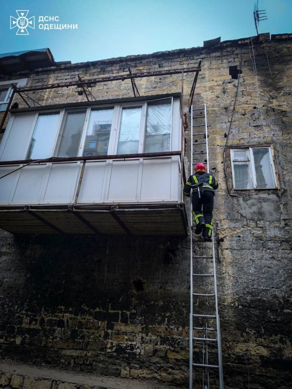 В Одессе кот устроил экстрим на крыше