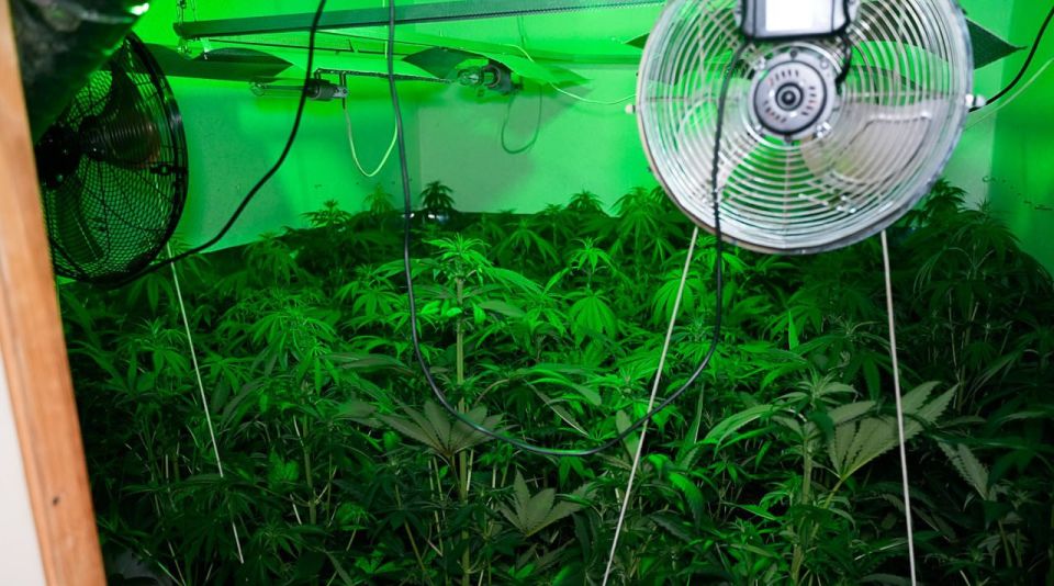 � ������ �������� ���������� ���������� ������������ ����������