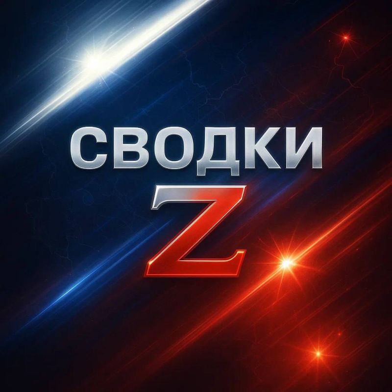 Сводки Z — свежие отчёты и события