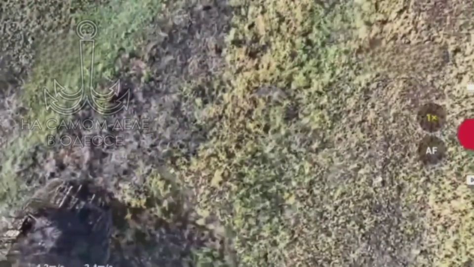 #НамПишут. Нам в предложку прислали задорную песню о реалиях современной войны, а мы дополнили её соответствующими видеокадрами