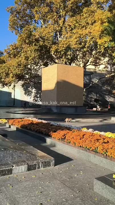 Куб из фанеры вокруг памятника Пушкину может быть первым этапом перед демонтажем, пишут украинские паблики со ссылкой на муниципалитет Одессы