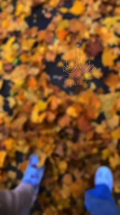 Таки да, Одесса-мама проснулась