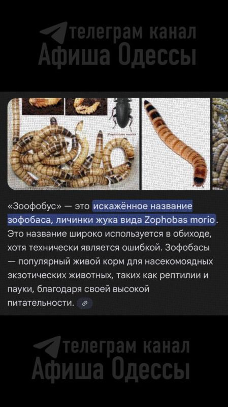 � ������ ���� ���������� �������� � ��������� � ����� ���������