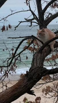 Одесса-мама, мирных снов. — Йося, а сколько мы с вами уже знакомы?