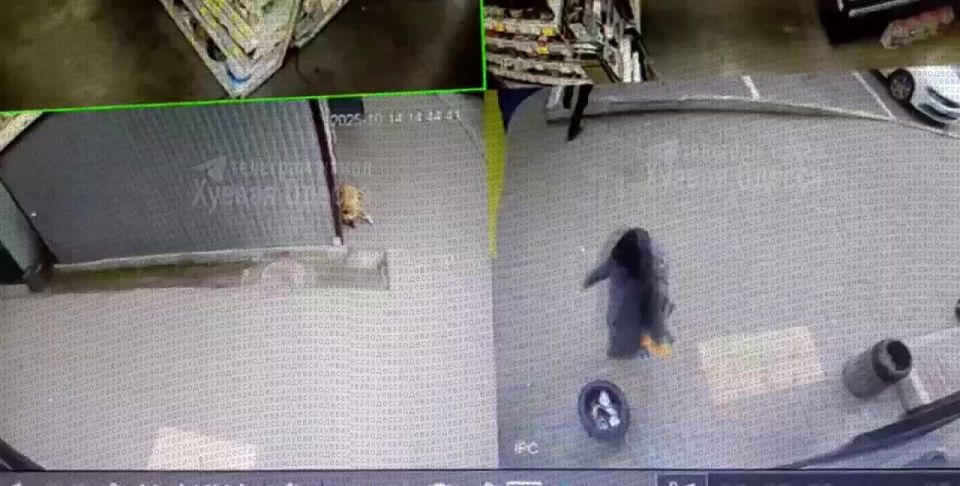 Женщину, которая сорвала украинский флаг с магазина в Одессе, задержала полиция