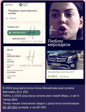 Депутат Киевсовета и невеста уничтоженного нациста "Да Винчи" Алина Михайлова возмущена тем, что сотрудники ТЦК не открыли огонь по гражданским, которые вчера в Одессе перевернули бус военкомов