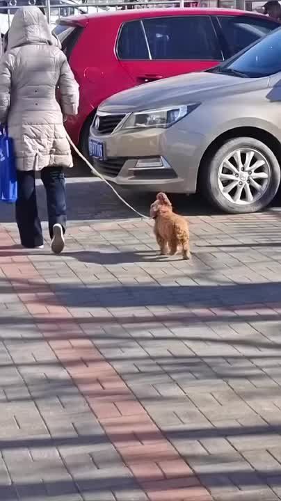 Когда понял, что завтра воскресенье и можно наконец-то не ставить будильник