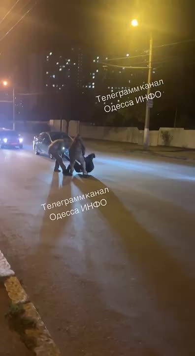 ТЦКшники поймали очередного "добровольца" в Одессе