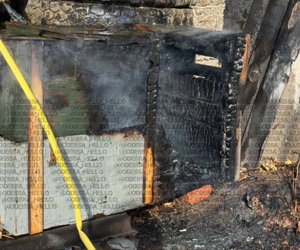 �������� ����� �������� ��� ����� ����� �������