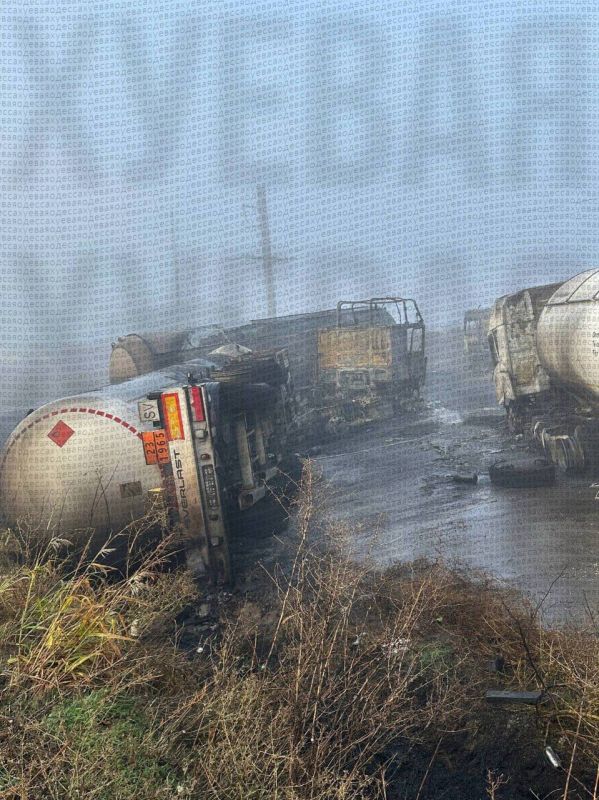 ��� ������� "������" ������ ��������� ��������� ���������� � ��������