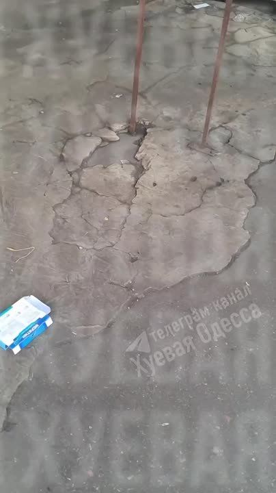 В Одессе появилась новая профессия «охотник за говнюками»