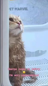 Доброй ночи, Одесса. Выходные, как всегда, пролетели незаметно, и завтра снова на работу