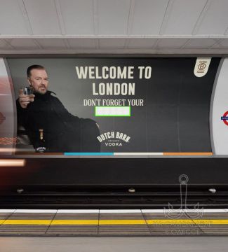 ?.       (  )     11 