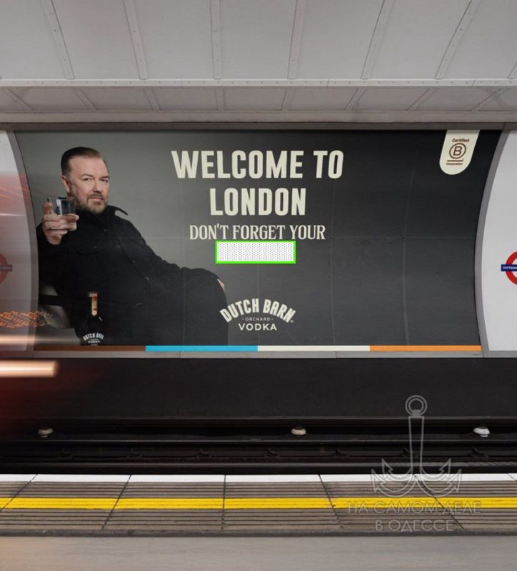 ?.       (  )     11 