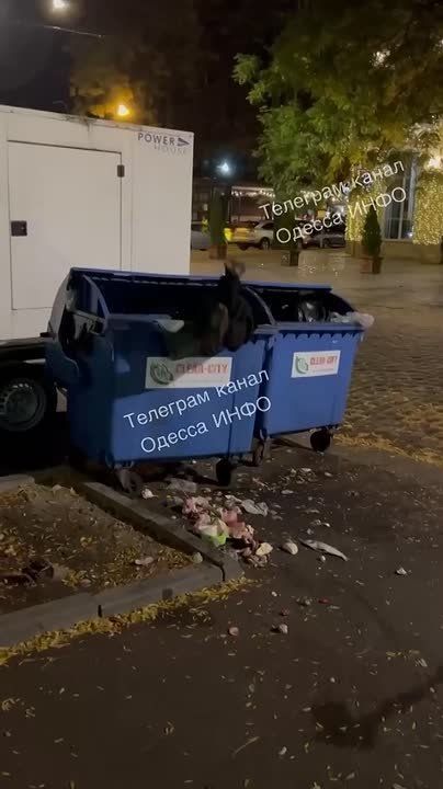 Мужчина немного заблудился на Александровском проспекте