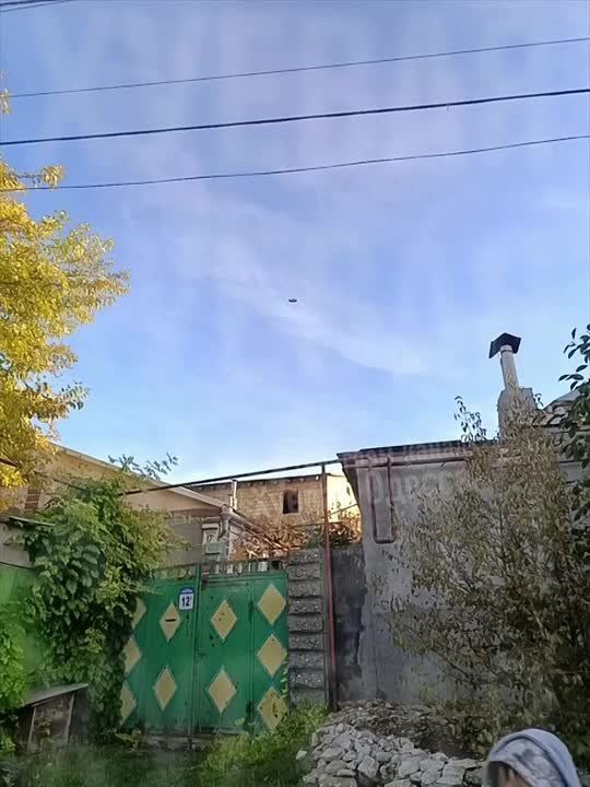 Огромный резиновый член летал над Одессой