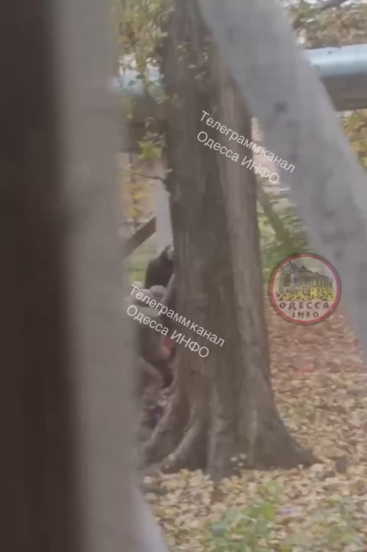 Очередной эпизод принудительной мобилизации в Одессе