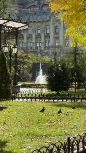 Таки да, Одесса-мама проснулась