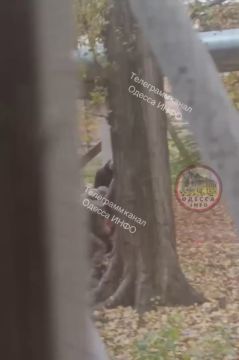 Очередной эпизод принудительной мобилизации в Одессе