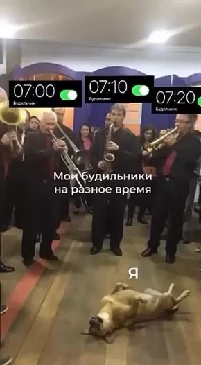 Доброй ночи, Одесса. Ложитесь спать пораньше, чтобы завтра не страдать от огромного количества будильников