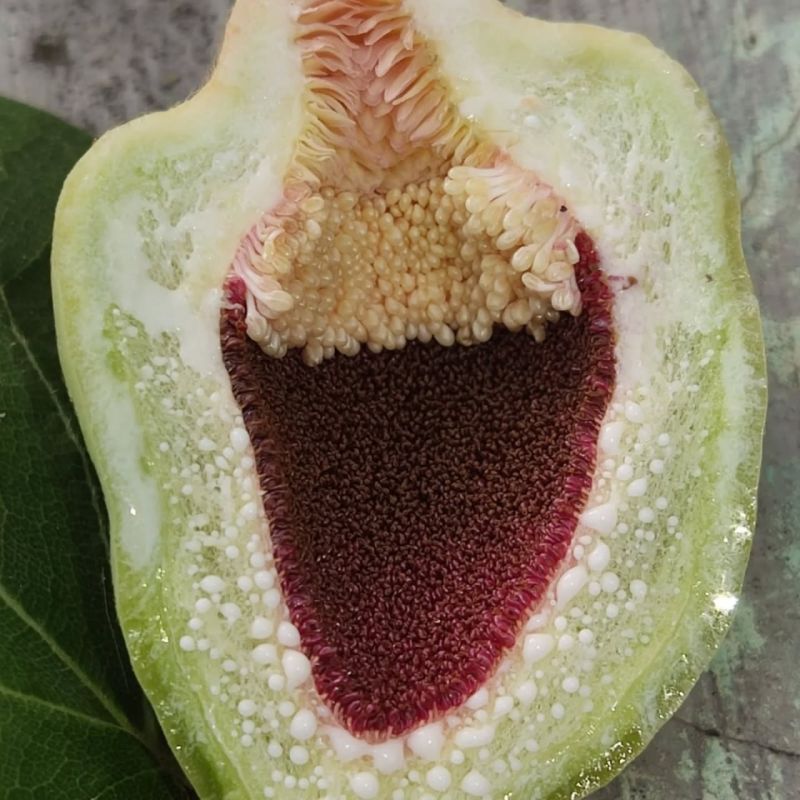 150-������ ����� � ������ ������� ���� ������ �����