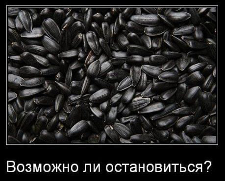 В Одесской области украли семечек на 2 миллиона гривен