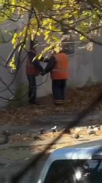 В Одессе два электрика утроили игрища на улице