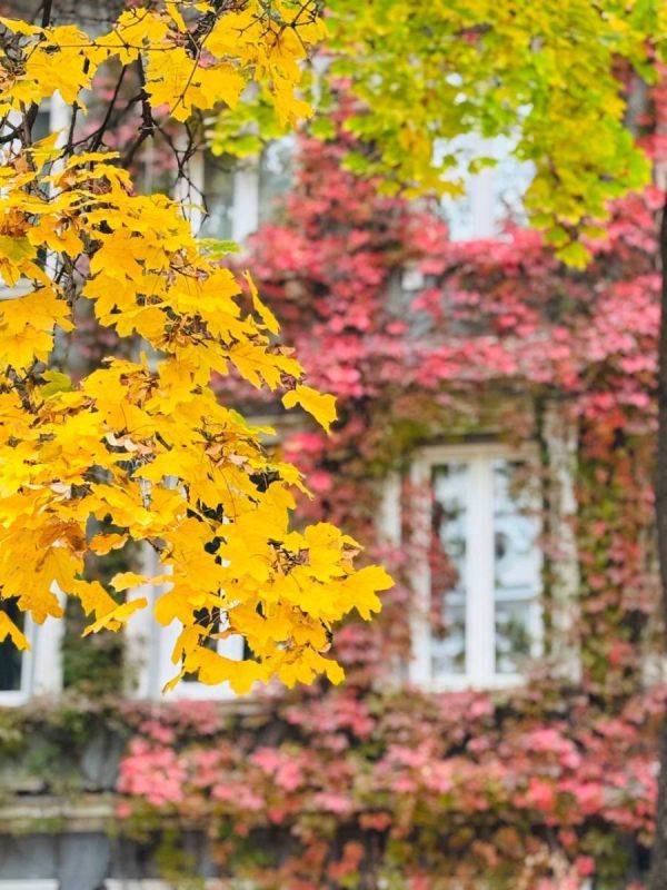 �� �������� ������� �������� ������� ����� ��� � �����