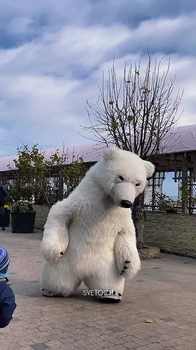 Белый мишка резвится в Одессе