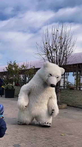 Белый мишка резвится в Одессе