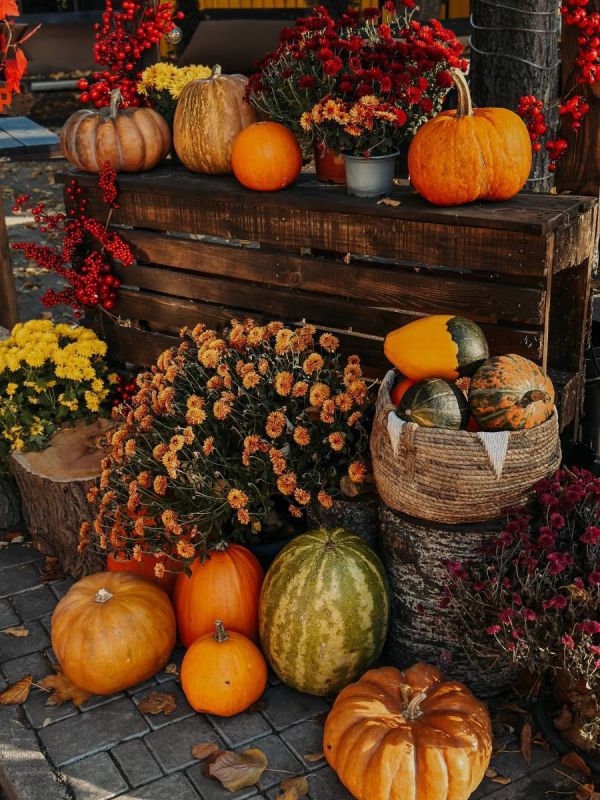 �� �������� ������� �������� ������� ����� ��� � �����