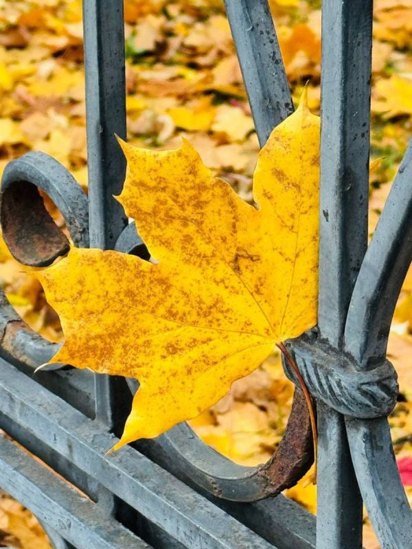 �� �������� ������� �������� ������� ����� ��� � �����