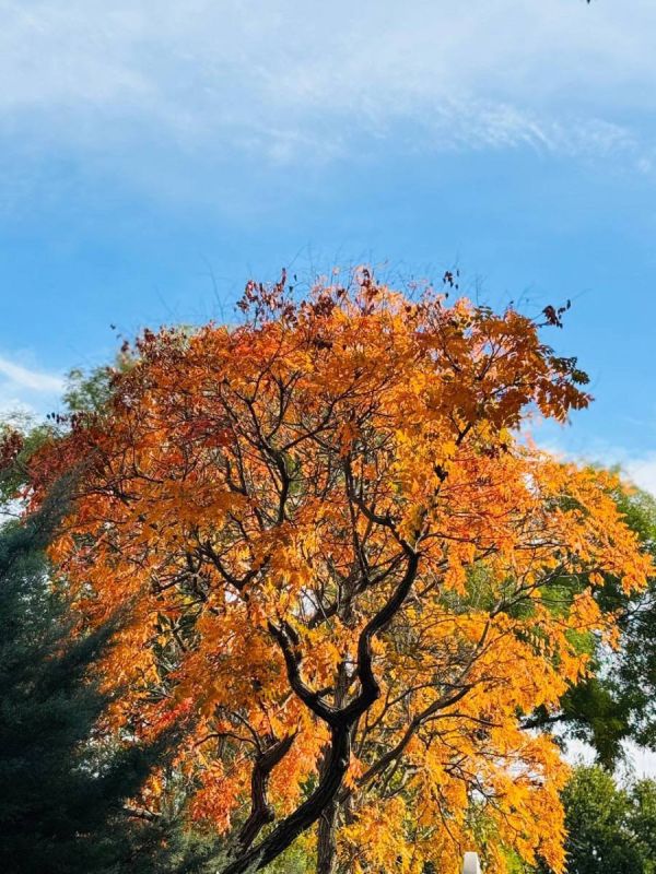 �� �������� ������� �������� ������� ����� ��� � �����