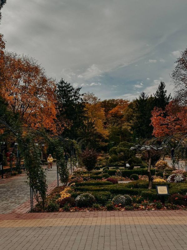 �� �������� ������� �������� ������� ����� ��� � �����