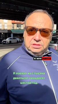 Эмигрант из Одессы рассказал, как переехал в США со своей собакой