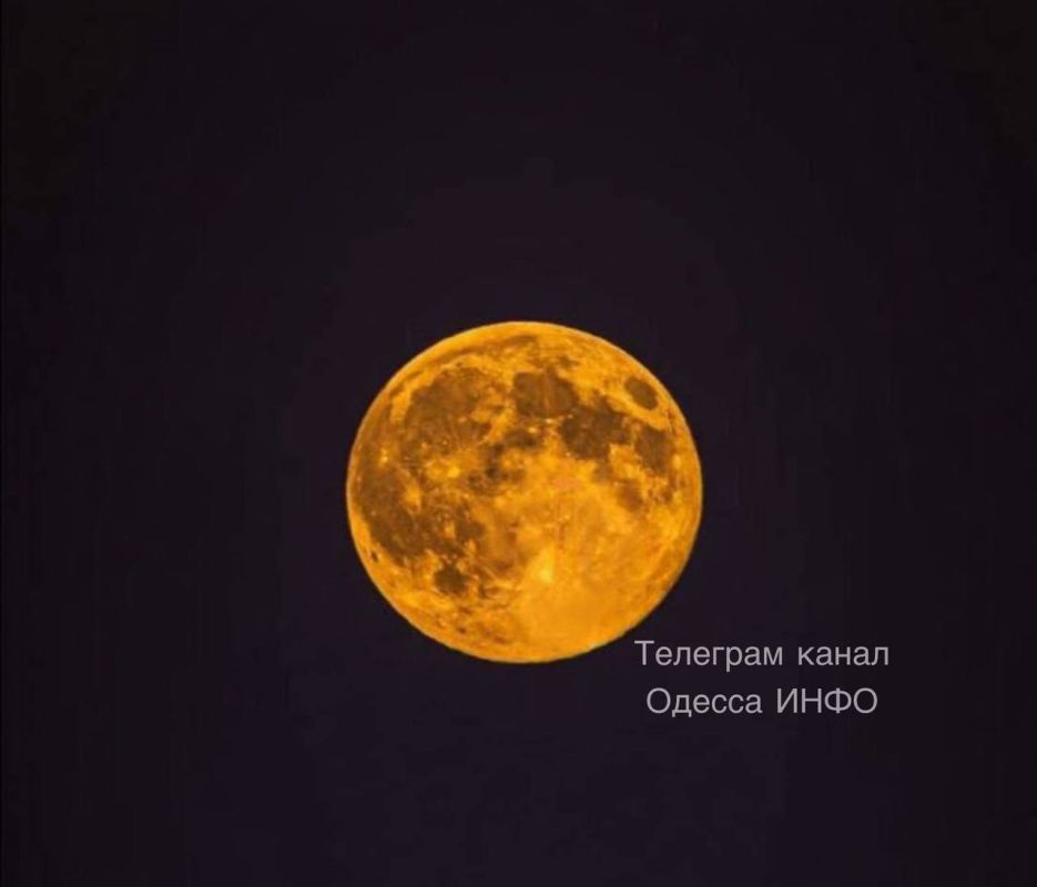 ���� ����� ��� ������� ������ �������� ����