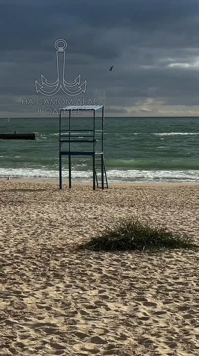 Таки да, Одесса-мама проснулась