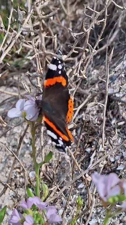 Восхитительная природа Одесской области