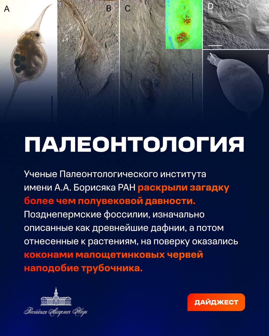 О самых интересных открытиях российских ученых за неделю по версии Минобрнауки России, РАН и РНФ — смотрите в карточках О самых интересных открытиях российских ученых за неделю по версии Минобрнауки России, РАН и РНФ — смотрите в карточках