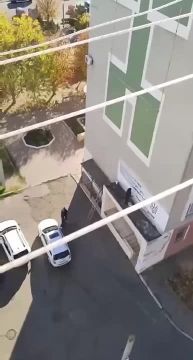 Хроника гражданской войны. В Южном больные геном українства замучили местных жителей, расписывая стену дома своей хуторской "мыслью"