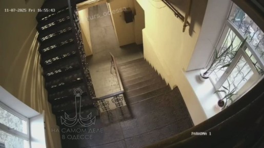 А кто тут у нас такой воришка?! Вор орудует на Пантелеймоновской, 54