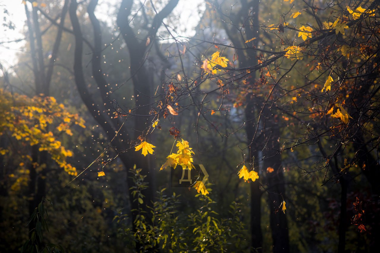 Впереди пасмурные и дождливые дни