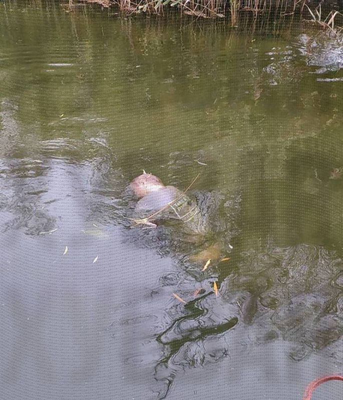 � �������� ������� � ����� �� �������� ��������� ���� ������� � ���������������� ��� ����� � ���