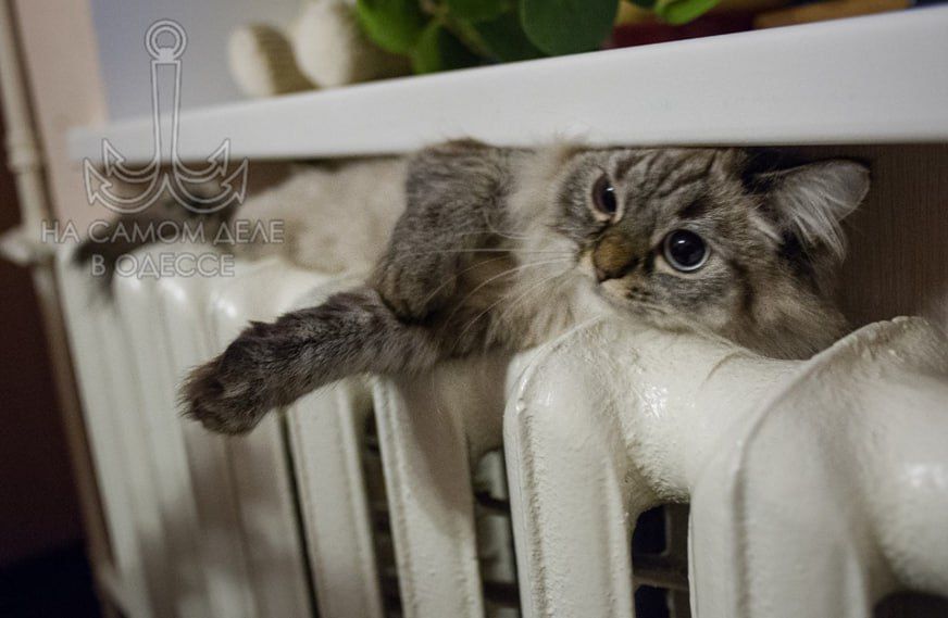 ������������ ������ 08 ������ 2025 ���� � ������ � ������� �����������: