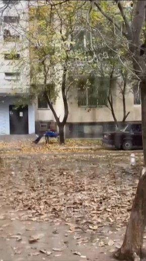 Очередной солевой словил дзен на скамейке возле жилого дома в Одессе